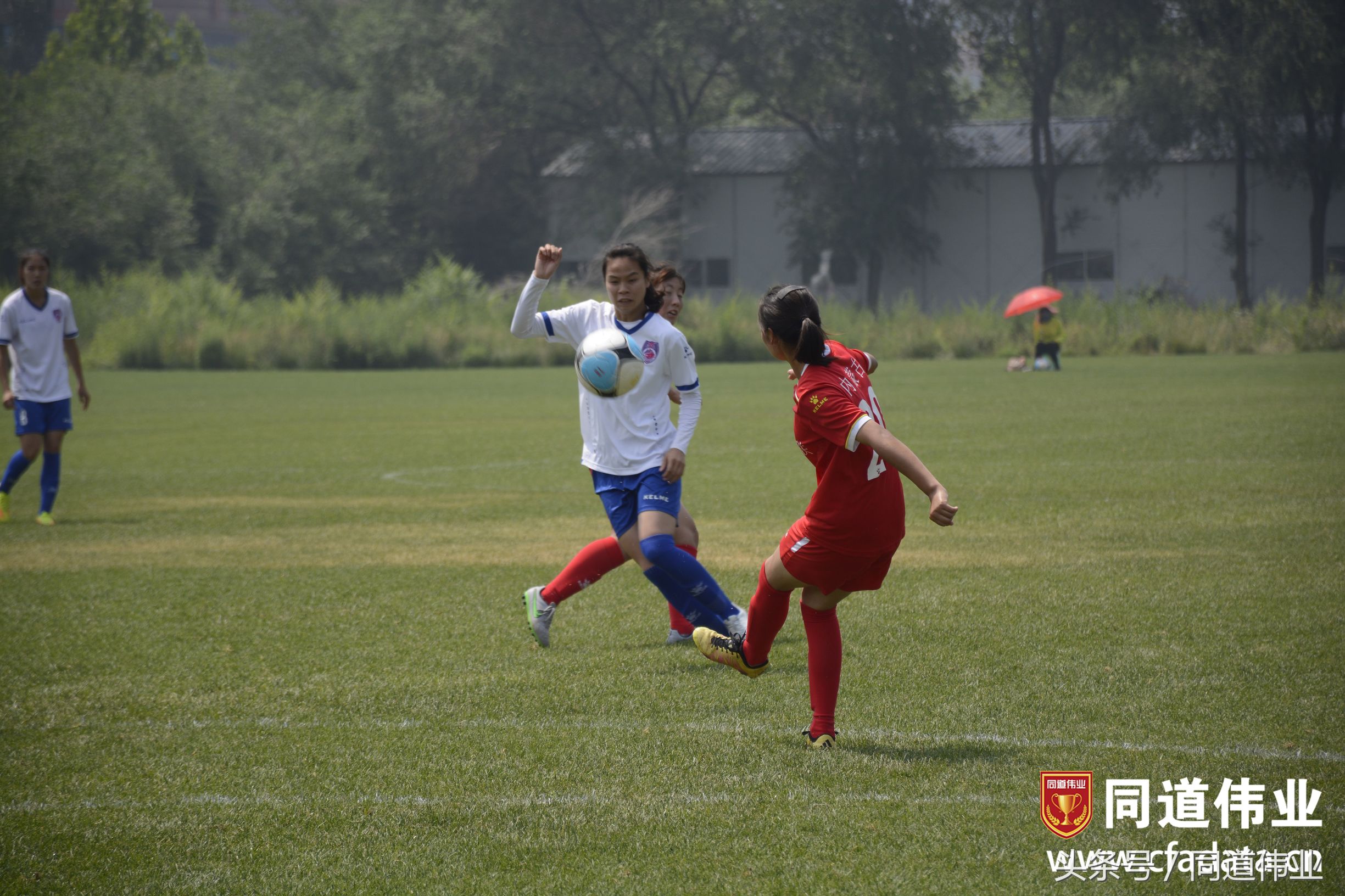 中国足球协会女子乙级联赛赛程,中国足球协会杯赛女子