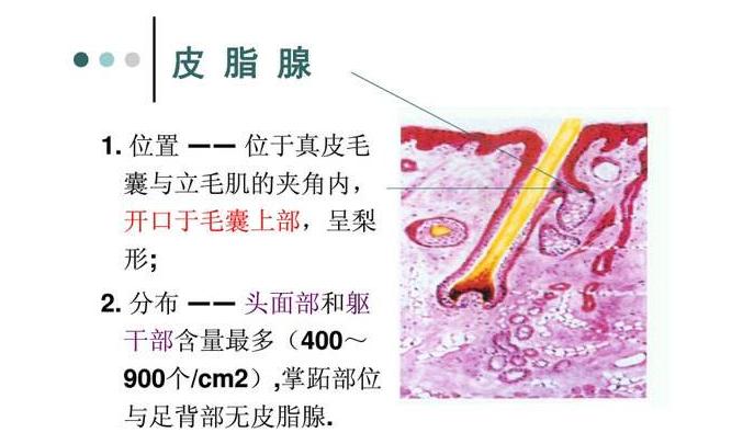 祛痘很多次都不见效,祛痘一瓶搞定