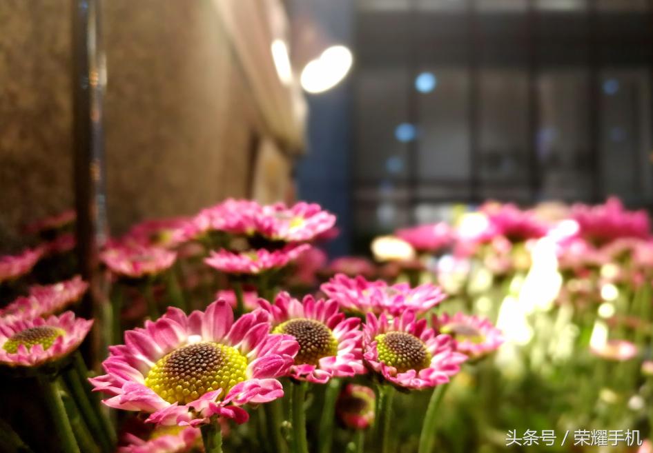 最美的旅程留下最好的回忆,每一次旅程都有最美的遇见