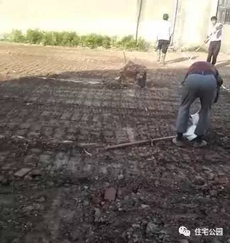 浙江筏基PK江苏扩大条基，论结实程度，谁能更胜一筹？