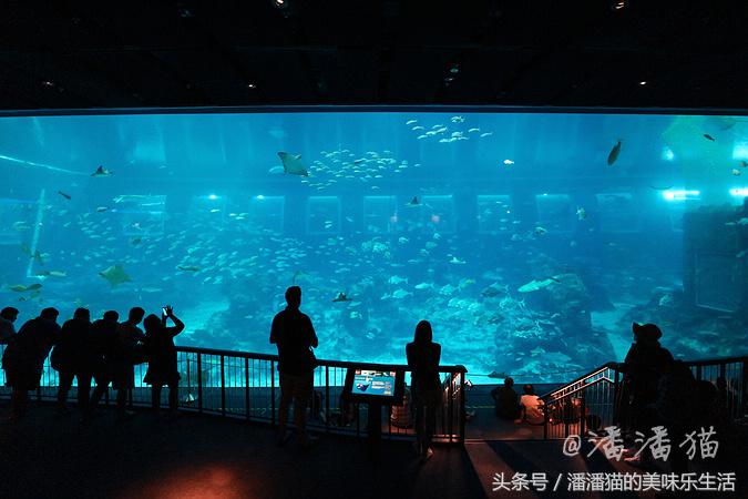 新加坡圣淘沙名胜世界小程序,新加坡圣淘沙必去的3个景点