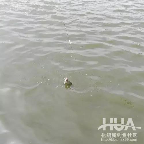 竿长跟漂的关系,竿长与漂重