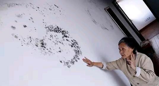 墙壁发霉了怎么处理,墙壁发霉了用什么方法处理好