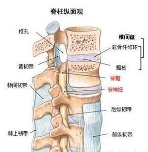 腰椎病骨质增生正骨手法,腰椎骨质增生怎么按摩治疗比较好