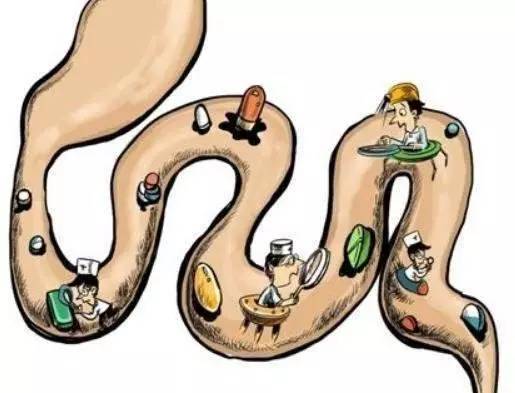 辟谣酵素果冻,喝酵素确实瘦了是为什么