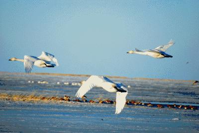 30岁还没创业还有机会吗,30岁之前创业不成功还有机会吗