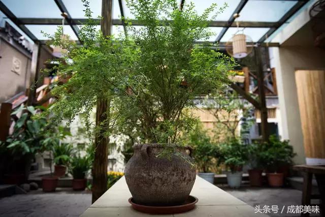 硬是歪得起飞！这家店包含四季，还扬言要吞吐万物！