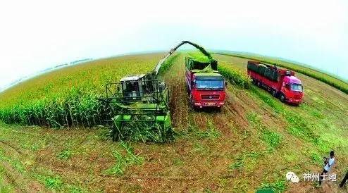 2017国家农业补贴政策,有关农业的最新补贴政策