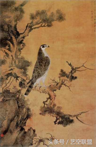 国画荷花鱼还有鸟的寓意,花鸟国画中的寓意