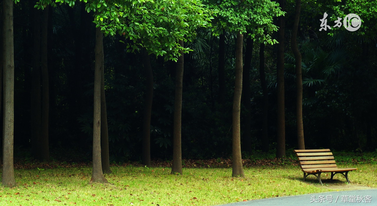 我心中的墨绿｜原创作文