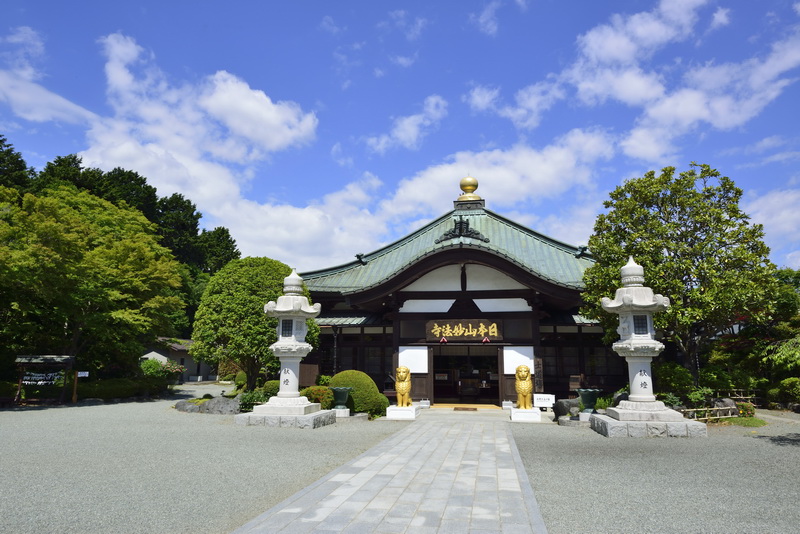 带孩子游日本攻略,带孩子去日本玩攻略