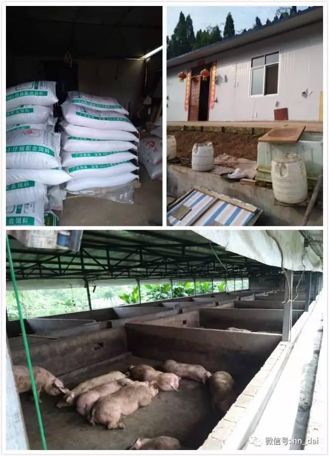 惠农最近新闻,惠农生活是干啥的