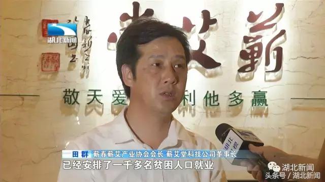 蕲春艾草在湖北什么地方最有名的,蕲春县有名的艾草