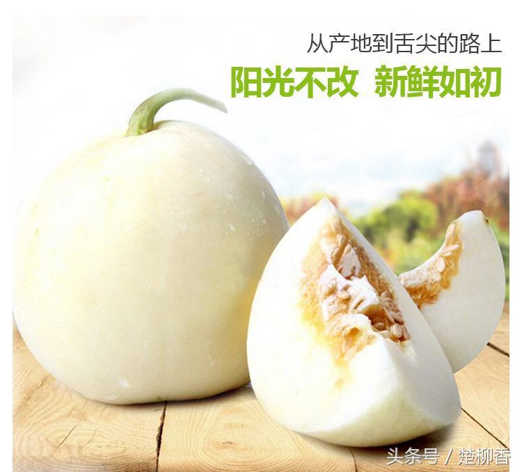 让“瓜蛋蛋”变成“钱串串”，农民年入数十万元！