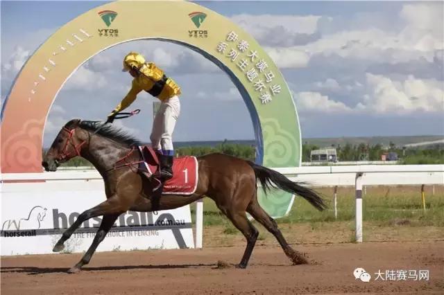 2019骞村唴钂欏彜閫熷害璧涢┈,鍐呰挋璧涢┈椹笟