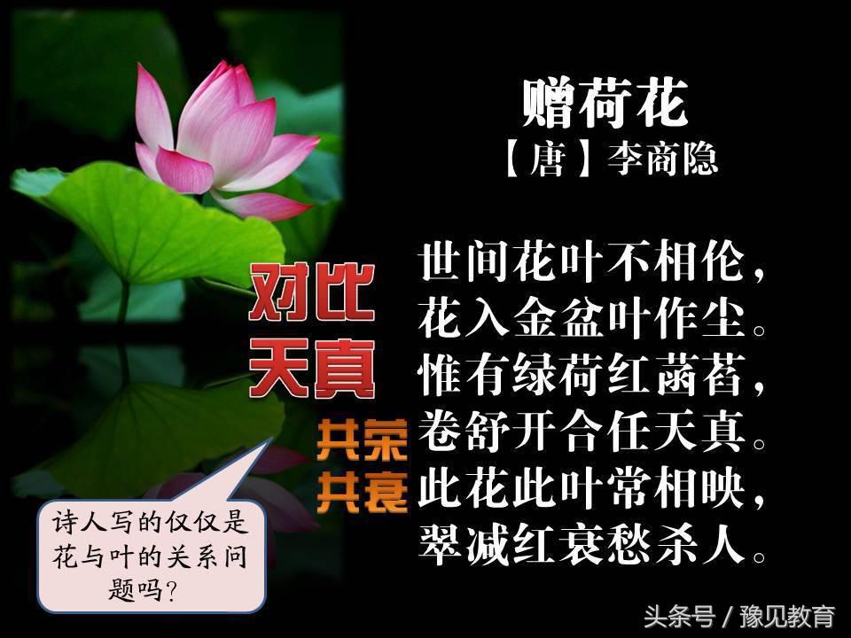 鍗楁槑鏁欒偛闆嗗洟椹幉,鍗楁槑鏁欒偛椹幉鑰佸笀