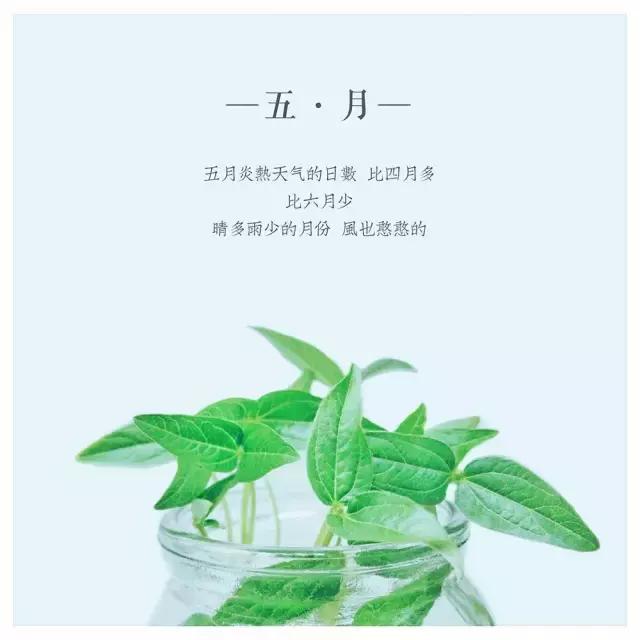 拍了那么多张，你这张照片与上一张有何不同？来看下这些评图就知道了！