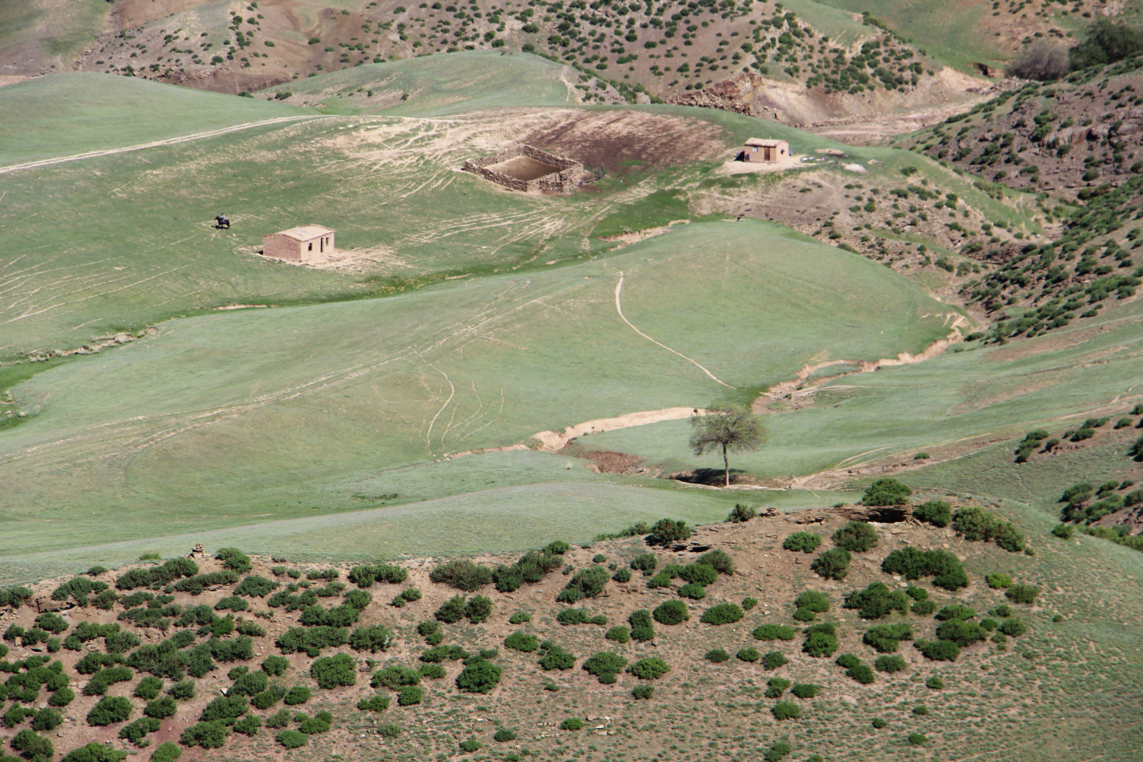 乌鲁木齐石人沟民俗,乌鲁木齐风情
