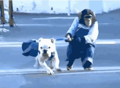 讲真｜论跑步，你可能还不如你家狗！