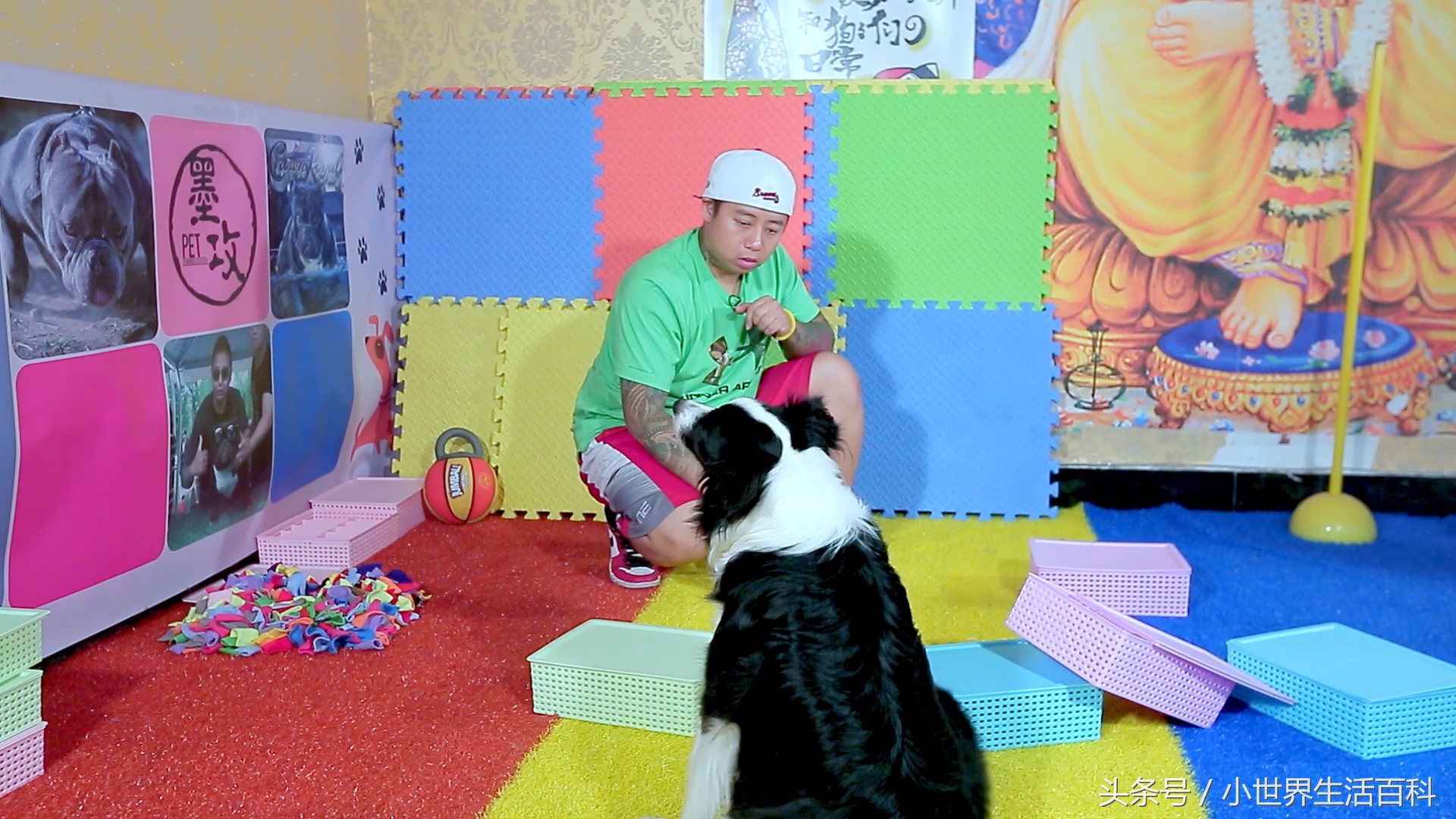 训练狗狗嗅觉,激发狗狗野性的声音