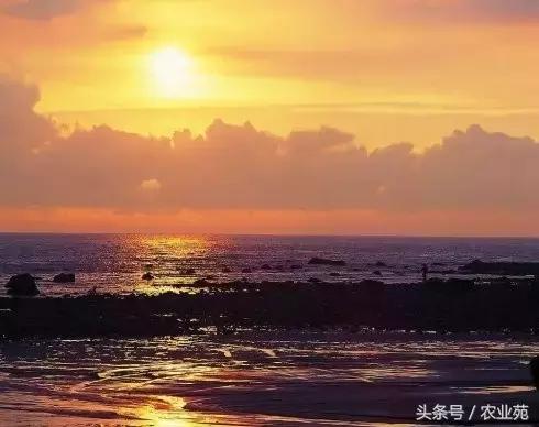 怎么根据云彩来判断天气,云彩识别天气图解