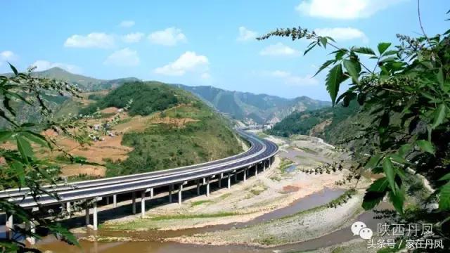 贾丹君,丹凤美食牛筋面