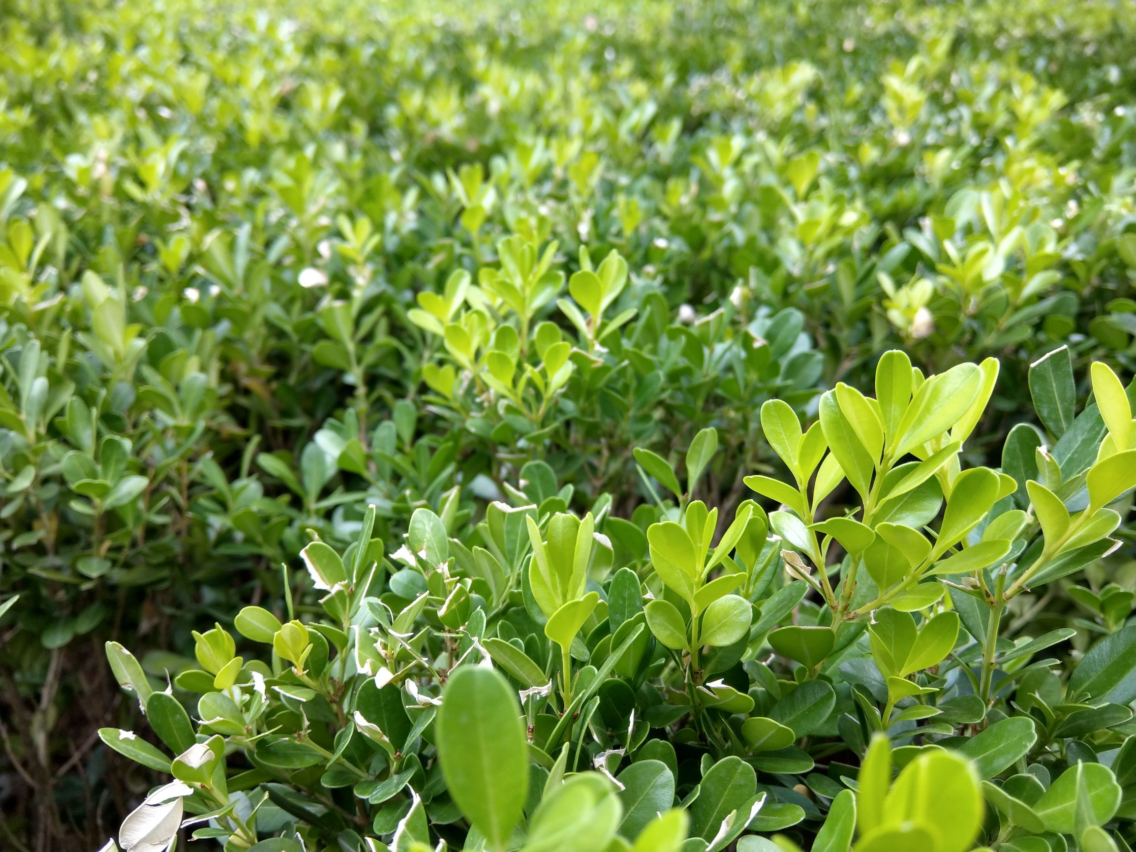 试用HTCU11：没落贵族还值不值得我们掏4599元？