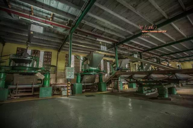 斯里兰卡旅游攻略费用多少,斯里兰卡要花多少钱