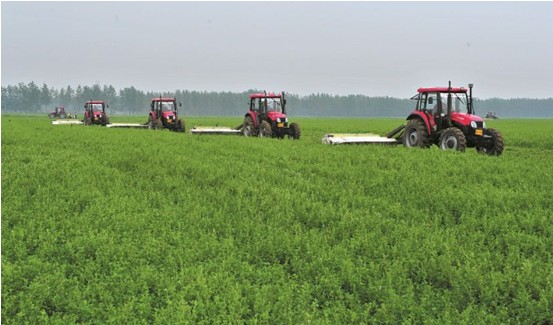 致富带头人励志故事,十大青年创业致富带头人