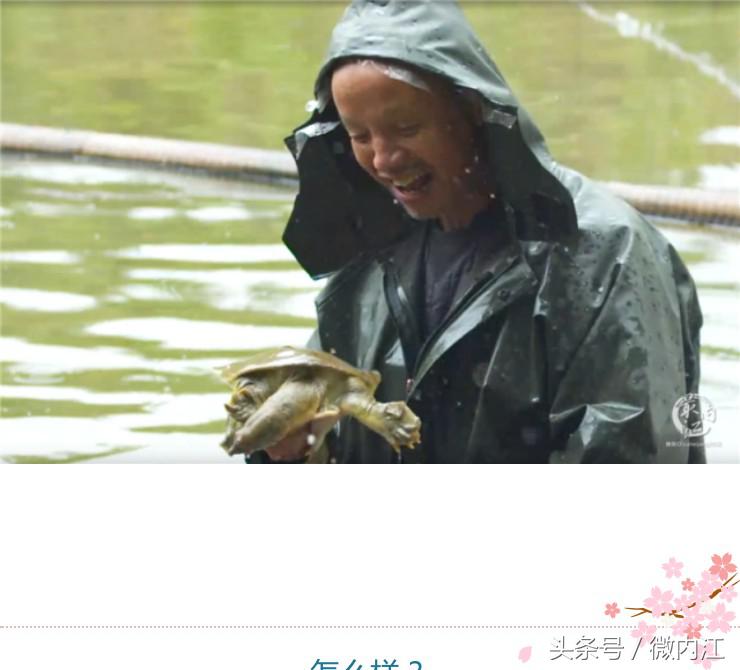 隆昌市创建天府旅游名县有望吗,内江市隆昌市第一大镇是哪里