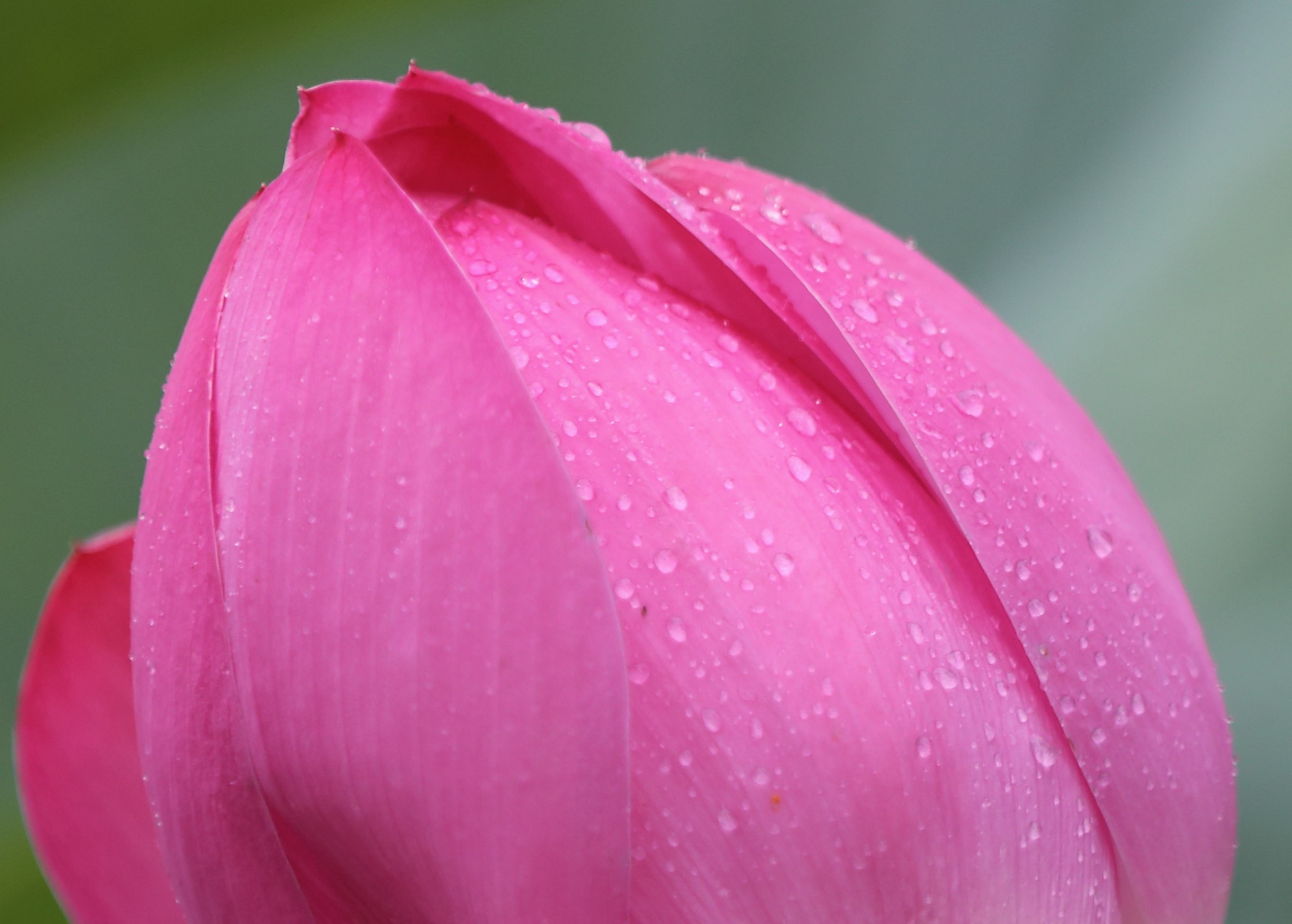 佳能5DMarkIV怎么样,佳能5dmarkiv最佳镜头