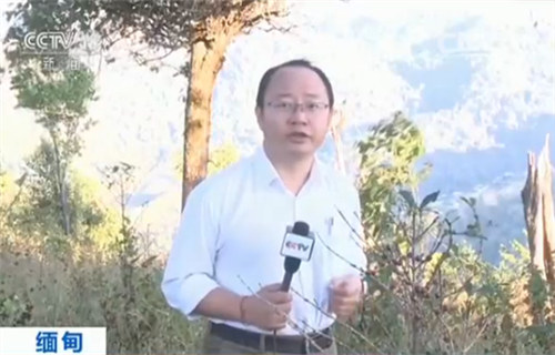 金三角真实缉毒纪录,缅甸金三角毒战