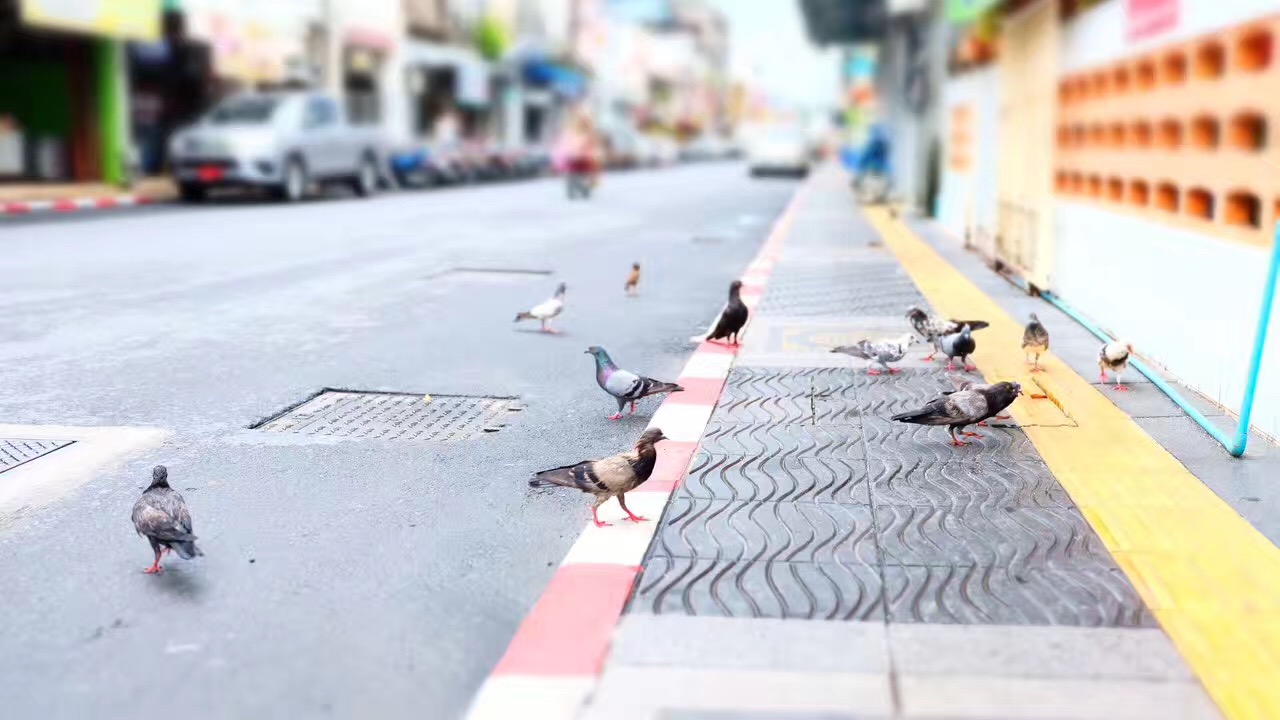 如何在普吉岛安装材质包,在普吉岛如何用人民币换泰铢