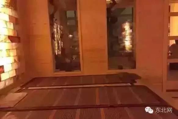 哈尔滨汗蒸推荐,哈尔滨哪个汗蒸最好