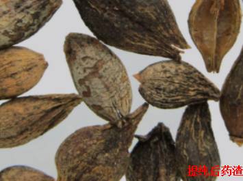 中药连翘的用途,中药知识必学牡蛎