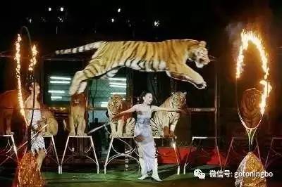 送你一份旅游大礼包速来领取,重磅12个旅游大礼包来袭