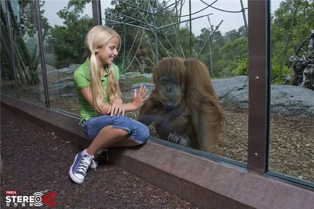 南加州周末好去处,美丽的加州圣地亚哥夜晚
