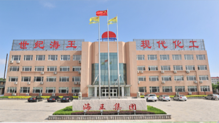 2017正和岛新三板投资调研团——海王股份