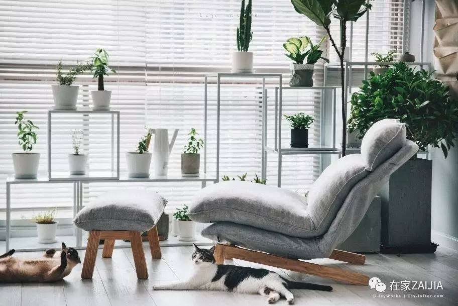 柔和舒适的房屋,小巧温馨舒适的房子