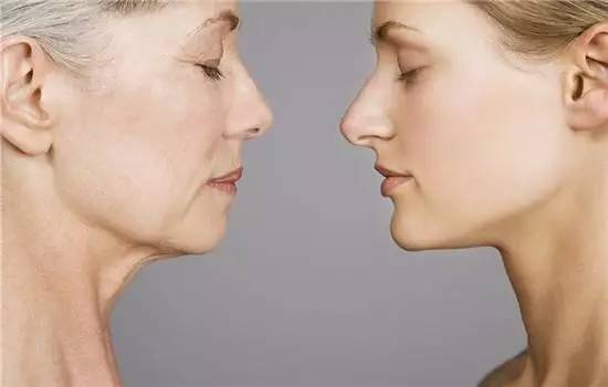 鍏斿濂界墿鍒嗕韩,鍏斿瀹炴儬濂界墿鍒嗕韩