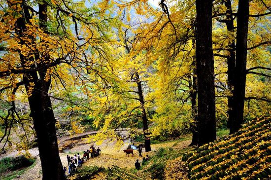 不仅有颜值还有内涵,贵州世界之最完整视频