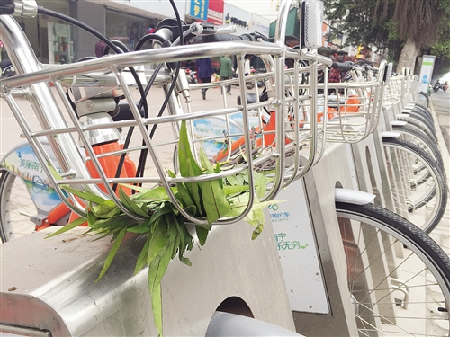 南宁市公共自行车办理,公共自行车确保绿色低碳出行