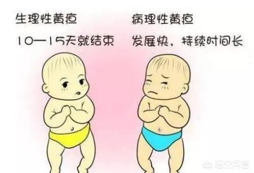 新生儿黄疸的判断标准,如何判断新生儿黄疸是否入脑