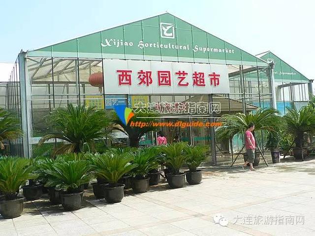大连西郊超市,大连西郊园艺超市游记
