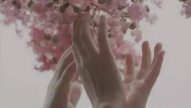 有些人看不懂电影,小时候看不懂长大才看懂的电影