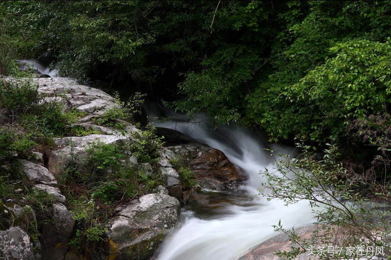 丹凤县的地域文化,商洛市丹凤县的名胜古迹