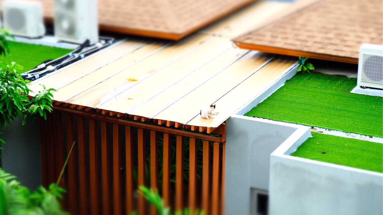 如何花5000元在普吉岛像王思聪一样的装X？