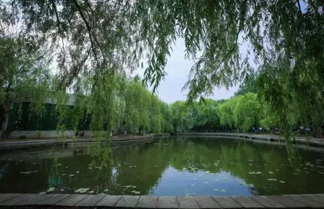 沈阳师范大学回忆,再见青春再见过往