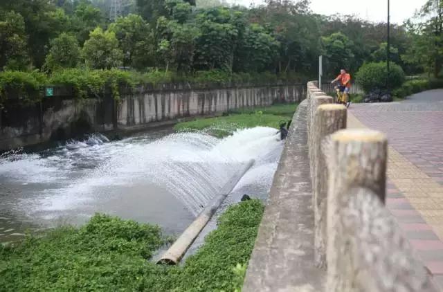 看了广州深圳之后感受,看深圳这几年后的感受