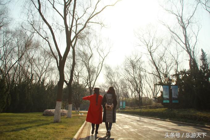 郑州思念果岭是森林公园吗,郑州思念果岭高尔夫球场